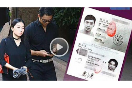 霍城债务清欠服务