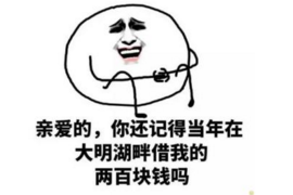 霍城企业清欠服务